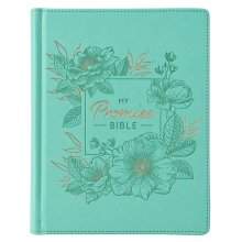 KJV Promise Bible, Teal, Imitation Leather, Journalling, Colouring, Gilt Edge, Ribbon Marker, Book Introductions, Presentation Page, Stickers, Bible Tabs, Storage Pocket