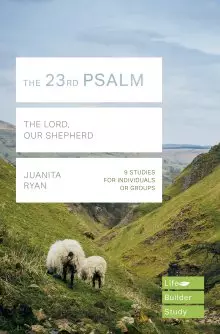 Lifebuilder Bible Study: The 23rd Psalm