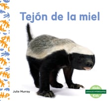 Tejon De La Miel (honey Badgers)
