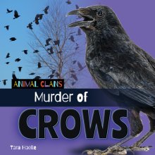 Murder Of Crows