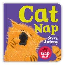 Cat Nap