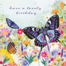 Birthday Card - Butterflies
