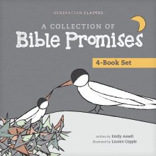 A Collection of Bible Promises 4-Book Set: When It Hurts / You Are / Tonight / Chosen