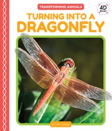 Turning Into A Dragonfly