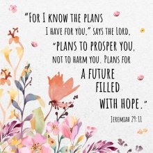 I Know The Plans Seeded Card