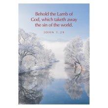Greetings Cards: 'Behold The Lamb…' Jn. 1.29