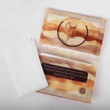 Tissues - God Bless You Browns (Pack of 12)
