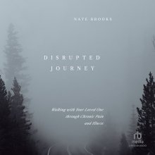 Disrupted Journey