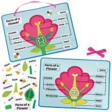 Flower Parts Biology Kits (Pack of 4)