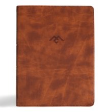 CSB Men of Character Bible, Revised and Updated, Brown LeatherTouch, Indexed