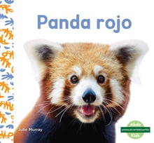 Panda Rojo (red Pandas)