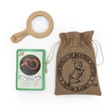 Peter Rabbit Bug Spotter Activity Set