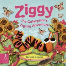 Ziggy The Caterpillar’s Zigzag Adventure