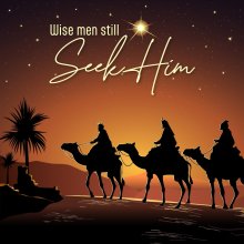 Wise Christmas Cards (Pack Of 10)