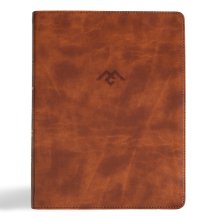 CSB Men of Character Bible, Revised and Updated, Brown LeatherTouch