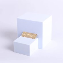 Badge Metal Jr Usher Goldtone Pin