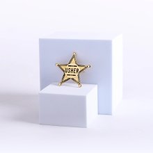Badge Metal Usher Star Goldtone Pin