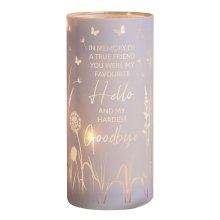 Thoughts of You Tube Light - Goodbye