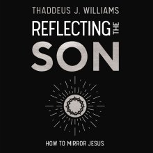 Reflecting the Son