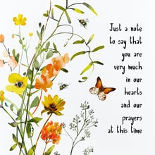 Orange Butterfly Greetings Card