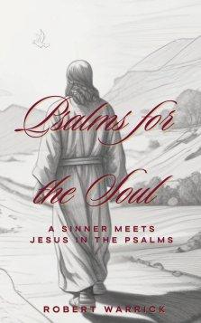 Psalms for the Soul: A Sinner meets Jesus in the Psalms