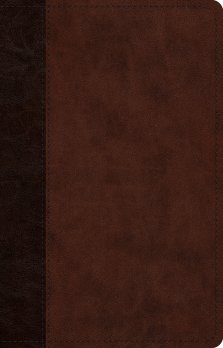 ESV Large Print Thinline Reference Bible (TruTone, Brown/Walnut, Timeless Design)