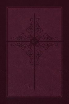 Passion Translation New Testament 2020 Edition, Burgundy