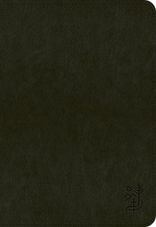 ESV Applying the Gospel Study Bible for Men (TruTone, Black)