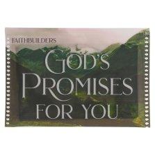 Faithbuilder Cards-God's Promises For You (Pack of 20)