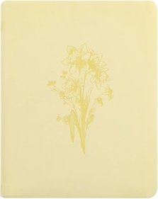 NLT Notetaking Bible: Belfast Theme