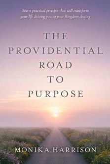 The Providential Road to Purpose