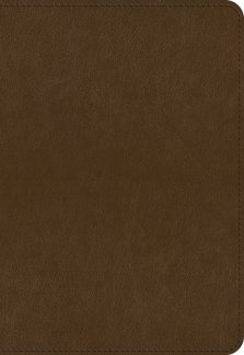 ESV Applying the Gospel Study Bible for Men (TruTone, Brown)