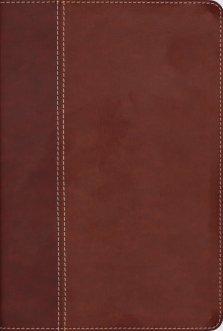NIV, Cultural Backgrounds Study Bible (Context Changes Everything), Leathersoft, Brown, Red Letter