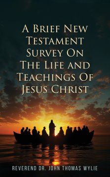A Brief New Testament: Survey on the life and Teachings of Jesus Christ (Book II)
