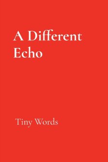 A Different Echo: Tiny Words