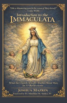 Introduction to the Immaculata: What the Church Actually Teaches About Mary in 33 Reflections