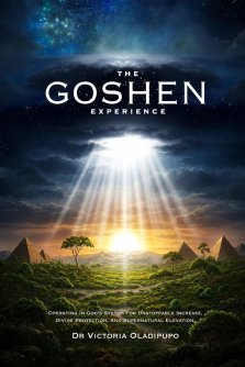 The Goshen Experience: Operating in God's System for Unstoppable Increase, Divine Protection, and Supernatural Elevation