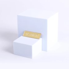 Badge Metal Usher Goldtone Pin