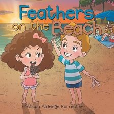 Feathers on the Beach