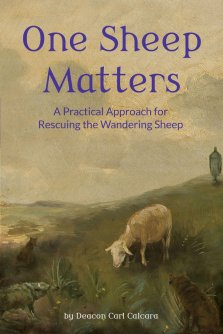 One Sheep Matters: A Practical Approach for Rescuing the Wandering Sheep