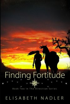 Finding Fortitude: Book Two in The Direction Series