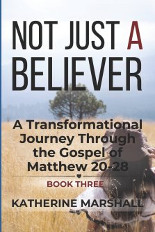 Not Just A Believer: A Transformational Journey Through the Gospel of Matthew Book Three