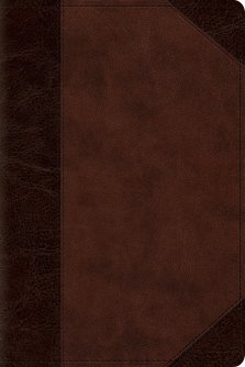 ESV Personal Size Reference Bible (TruTone, Brown/Walnut, Portfolio Design)