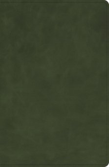 CSB Personal Size Bible, Zipper Closure, Olive Calfskin