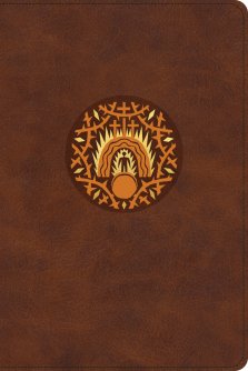 ESV The Biggest Story Holy Bible for Kids (TruTone, Brown, Living Hope Design, Thumb Indexed)