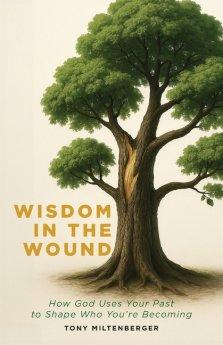 Wisdom in the Wound: How God Uses Your Past to Shape Who You're Becoming