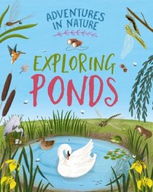 Adventures In Nature: Exploring Ponds