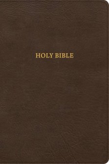 CSB Grace Bible, Brown Leathertouch