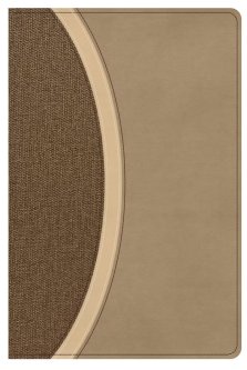 CSB Rainbow Study Bible, Brown Leathertouch