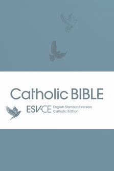 ESV-CE Catholic Bible, Sky Blue Flexiback, Debossed Dove, British Liturgical Bible, ESV-CE, Flexiback, Standard size